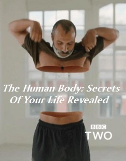 The Human Body Secrets of Your Life Revealed